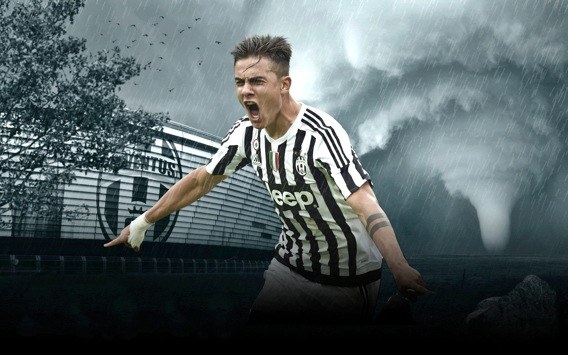 全市场：梅努是那不勒斯的首选，佩莱格里尼和米雷蒂也是候选（全市场：那不勒斯头号目标是梅努，佩莱格里尼与米雷蒂同为备选）