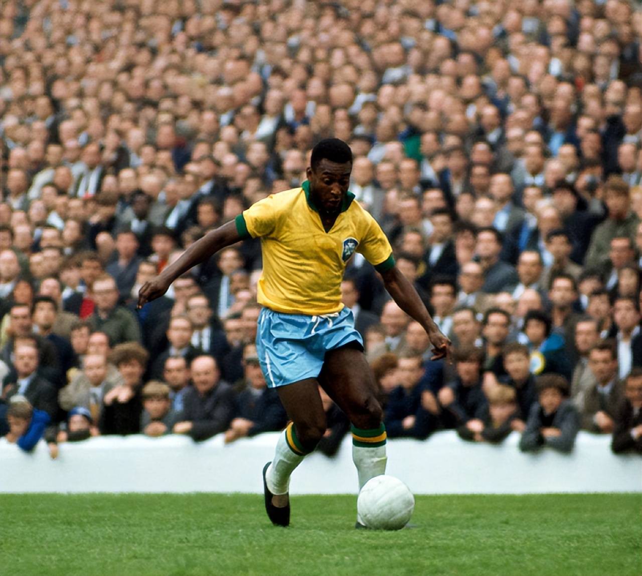 铃木彩艳长期伤缺！官方：帕尔马签下前水晶宫门将瓜伊塔（铃木彩艳因伤长期缺阵，帕尔马官宣前水晶宫门将瓜伊塔加盟）