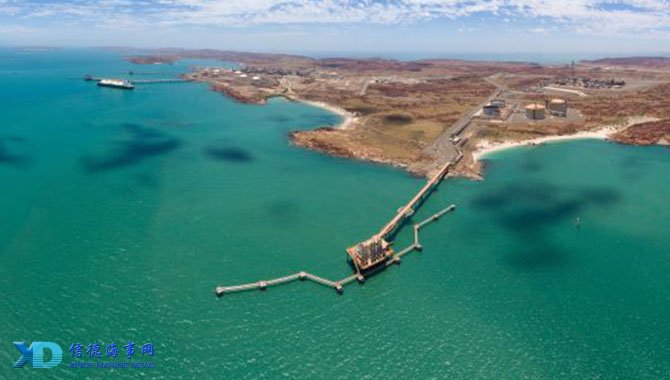 基耶利尼：相信伊尔迪兹会留队很多年；DV9受伤不会影响引援（基耶利尼：坚信伊尔迪兹将长期留队；DV9伤情不会改变引援计划）